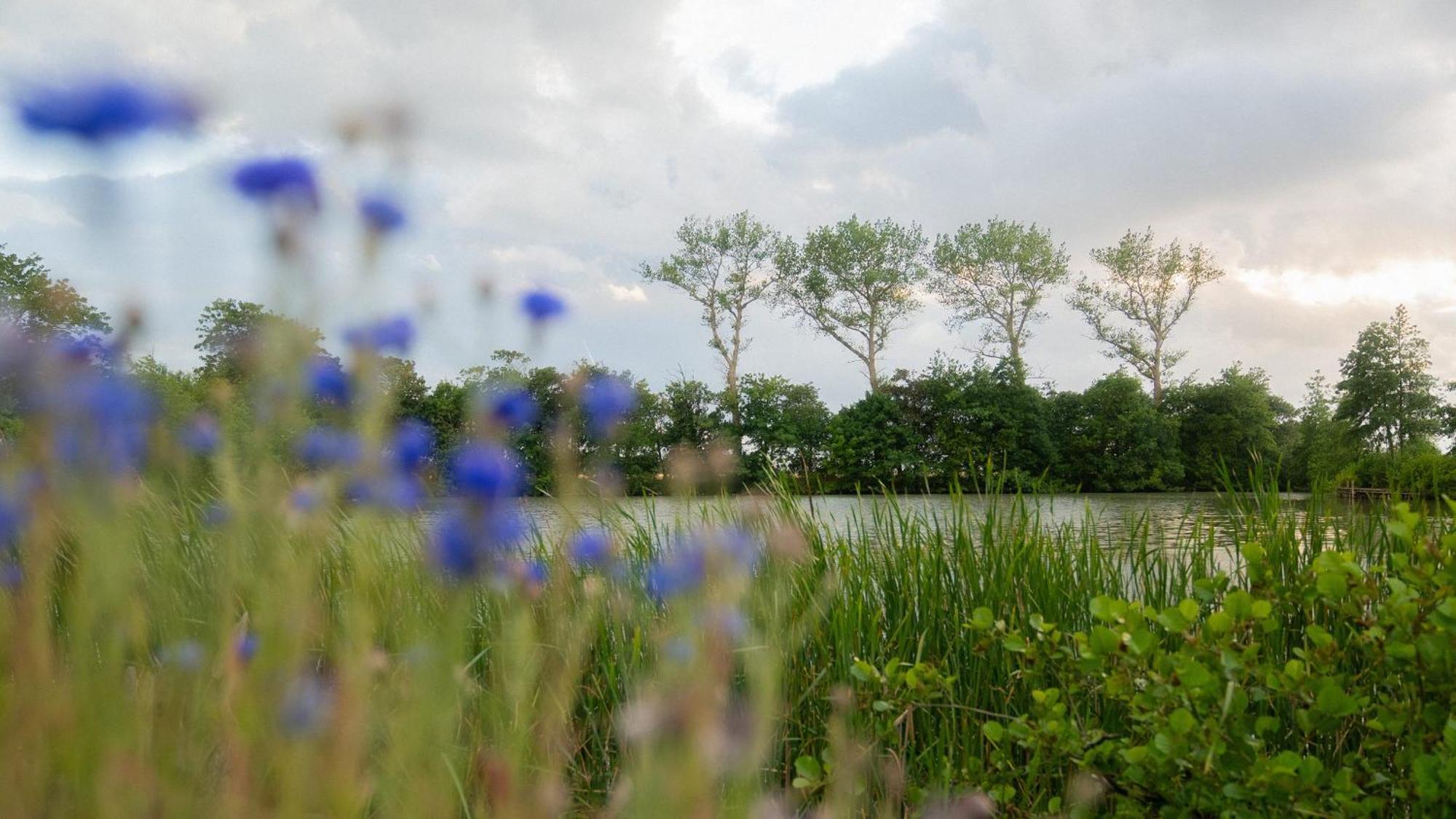 Schillhoern - Urlaub Mit Wasserblick Appartement