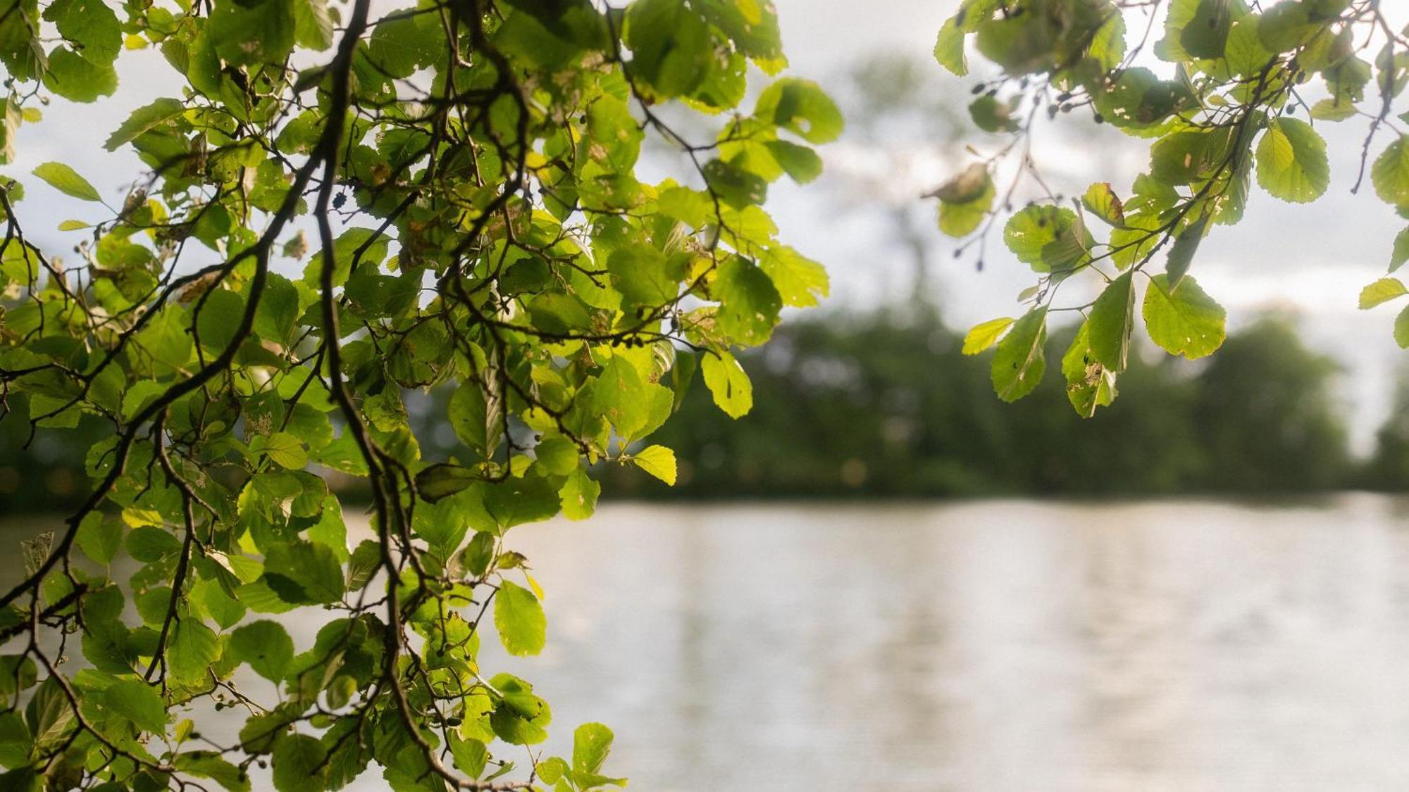 Appartement Schillhoern - Urlaub Mit Wasserblick *